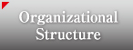 Organizational Structure